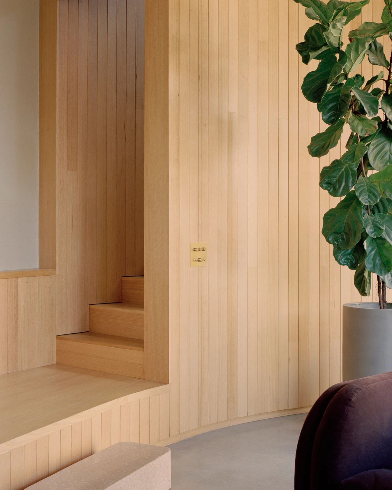 折线形屋顶房子丨澳大利亚墨尔本丨Studio Bright-49