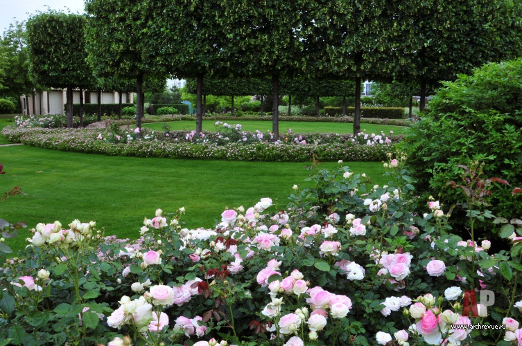 带草坪的公园景观设计（浪漫公园带草坪）丨俄罗斯莫斯科丨IL NATURE-36