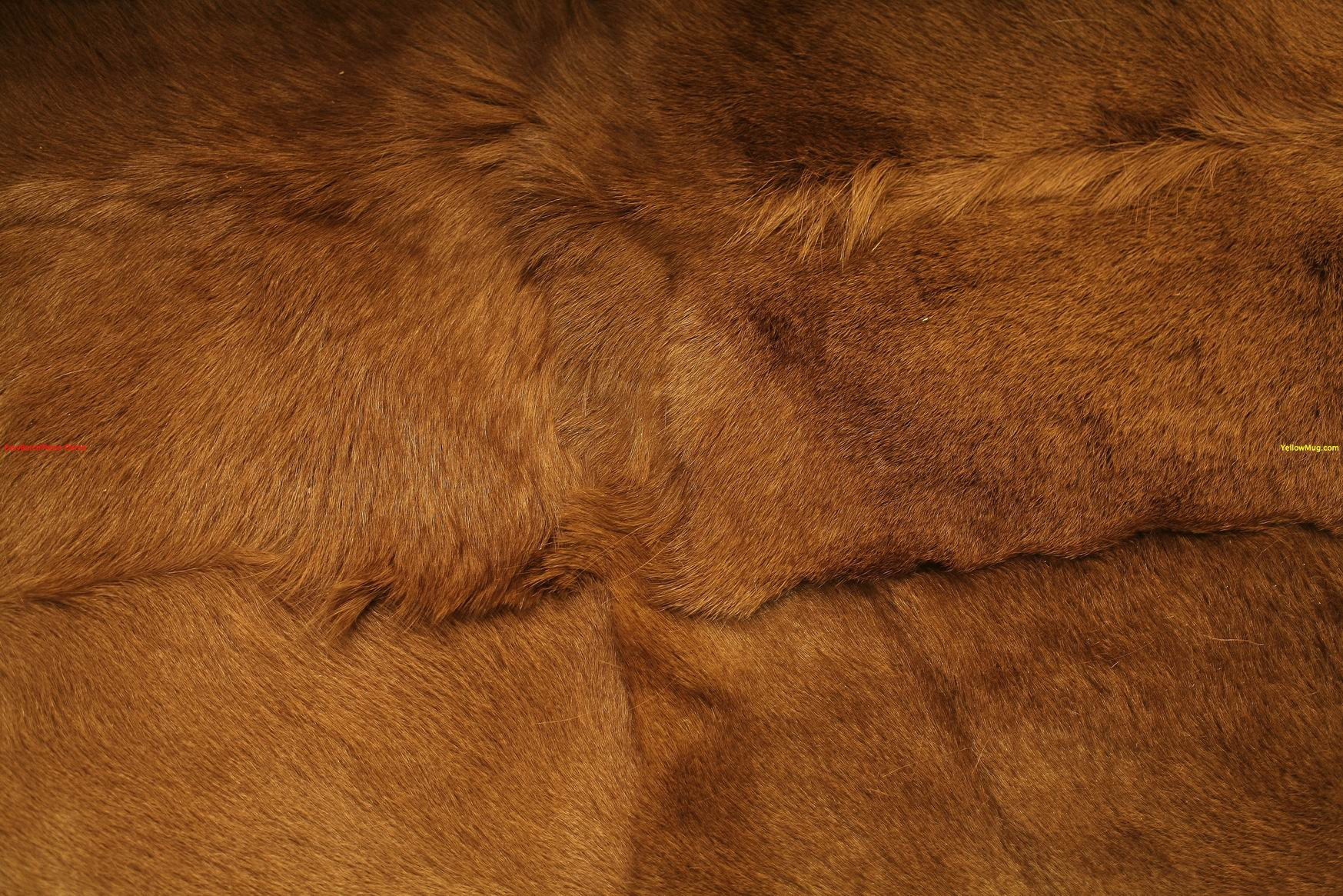 后现代 上海上海浦东汤臣一品（梁志天）-18