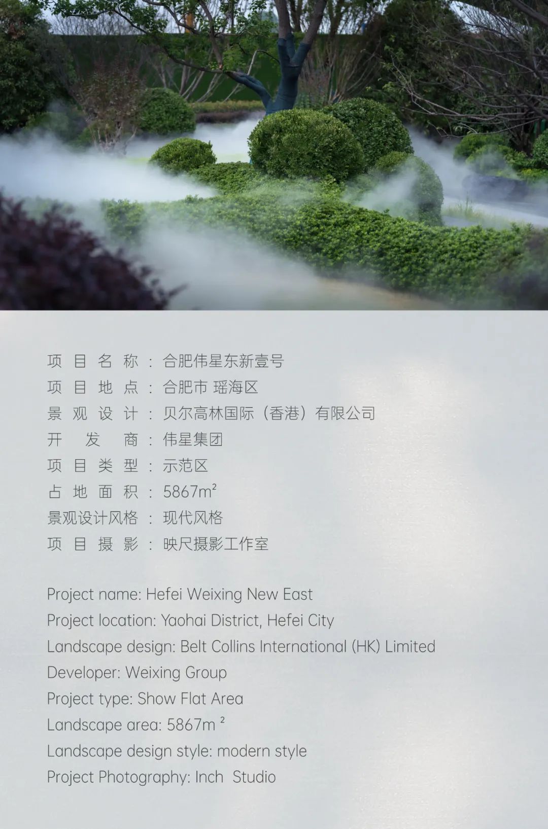 BELT COLLINS | 月下观园 合肥伟星 · 东新壹号-7