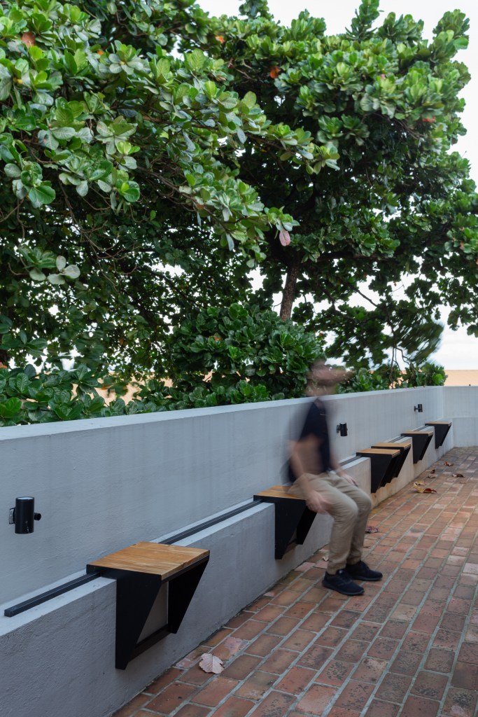 丨巴西伯南布哥-221