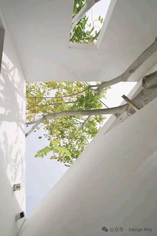 私人野山坡度假别墅-17