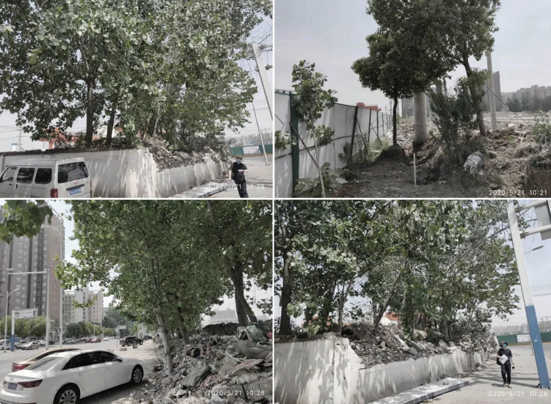 【案例分享】奥园•龙川玖著-7