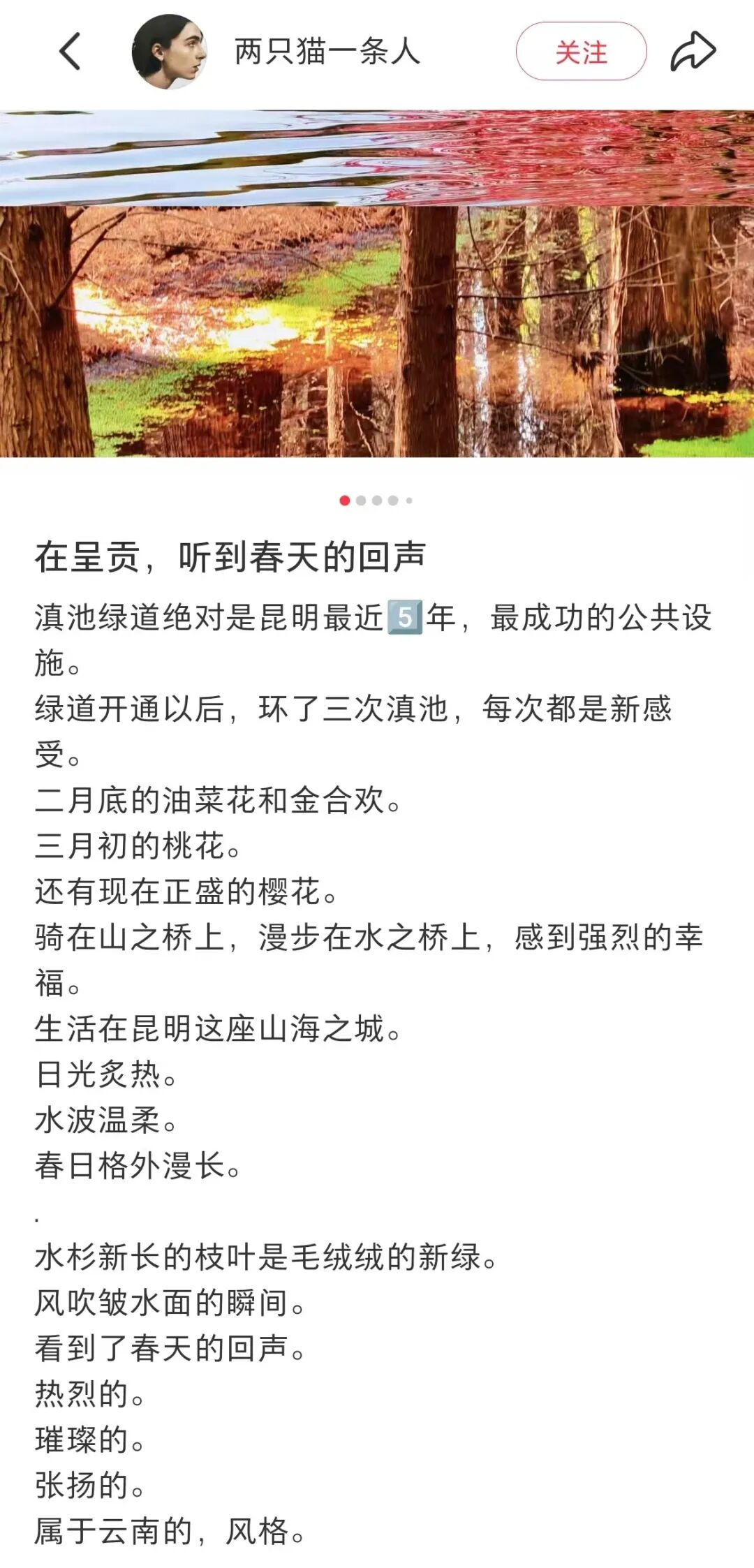 【中规作品】春城新画卷——滇池绿道之春日请柬-42