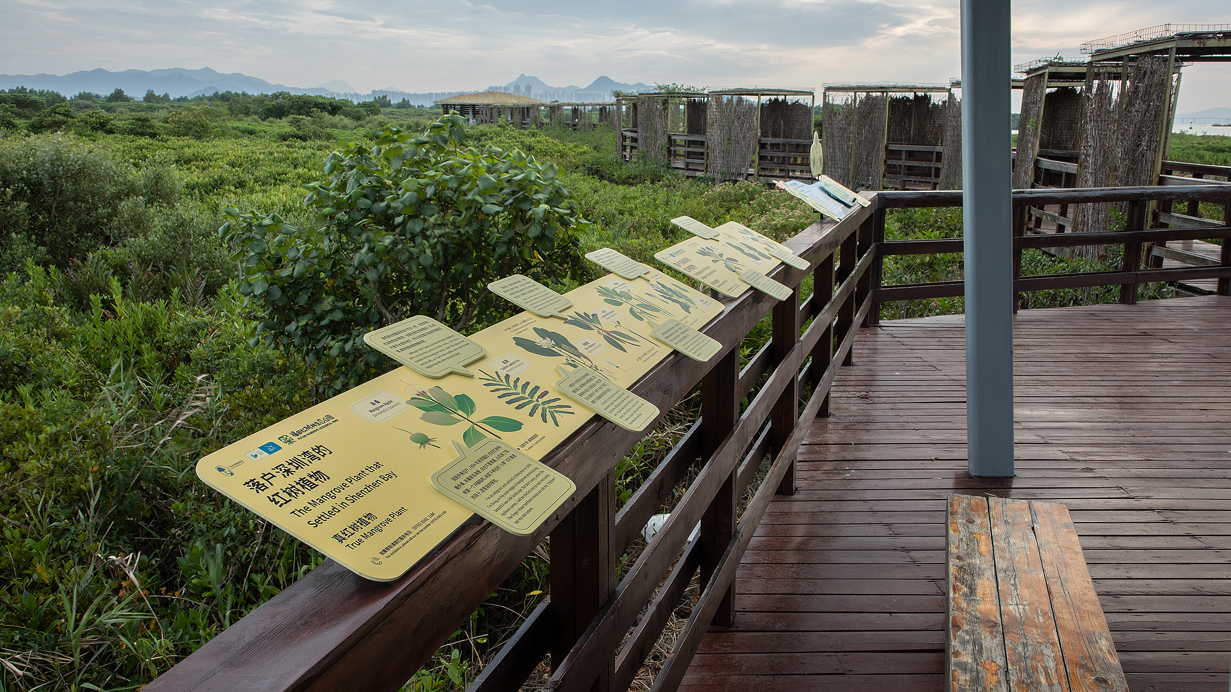 深圳红树林生态公园户外科普互动导视设计丨中国深圳丨共生领域(北京)文化传媒有限公司-34
