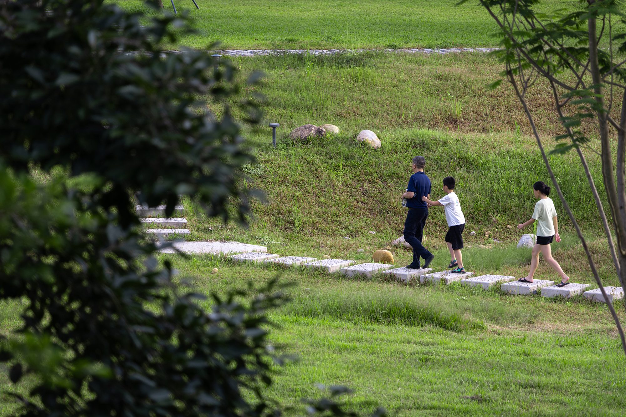 深圳光明虹桥1958生态公园丨中国深圳丨深圳自组空间,深圳市建筑科学研究院股份有限公司-71