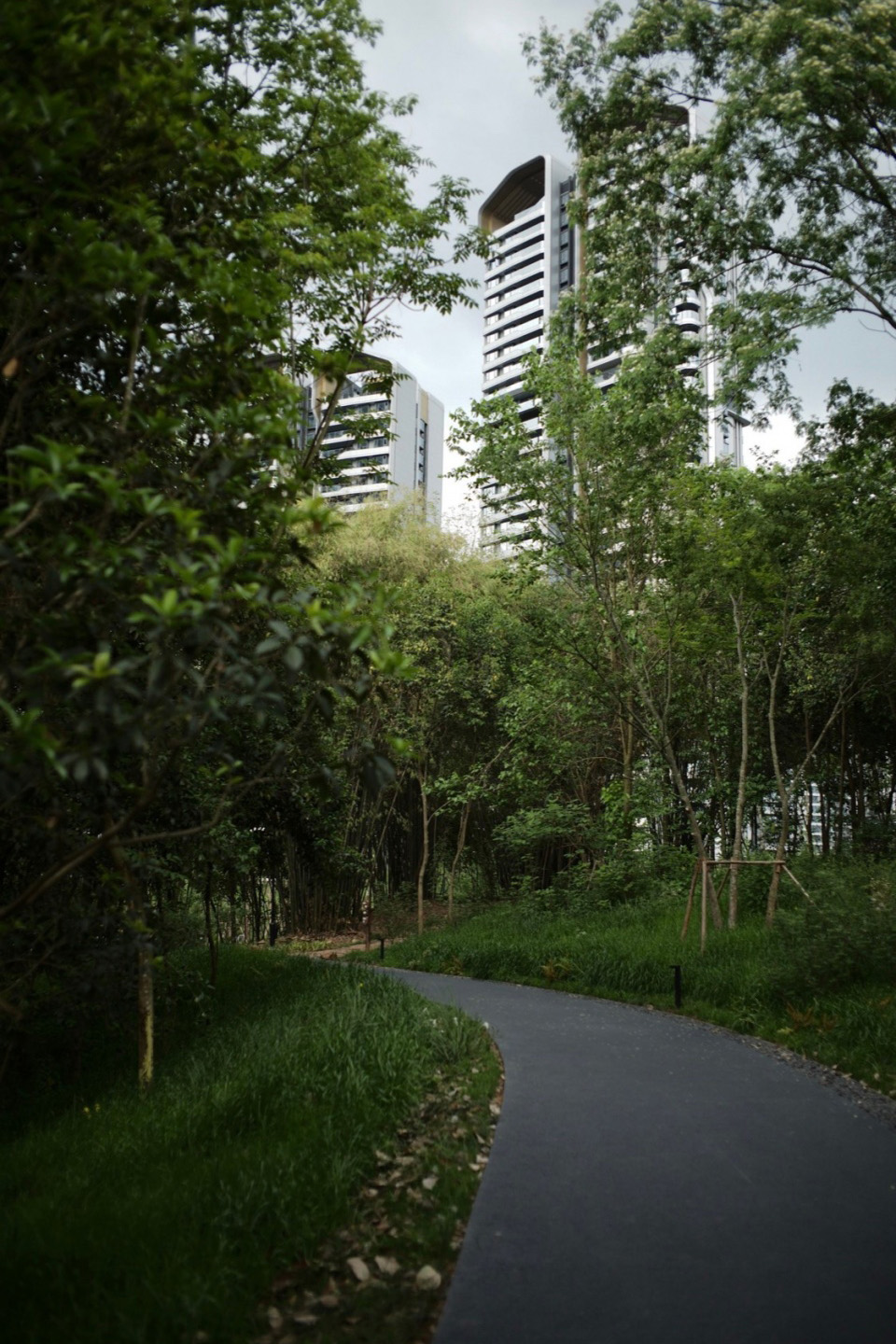 麓野公园丨中国成都丨四川乐道景观设计有限公司-135