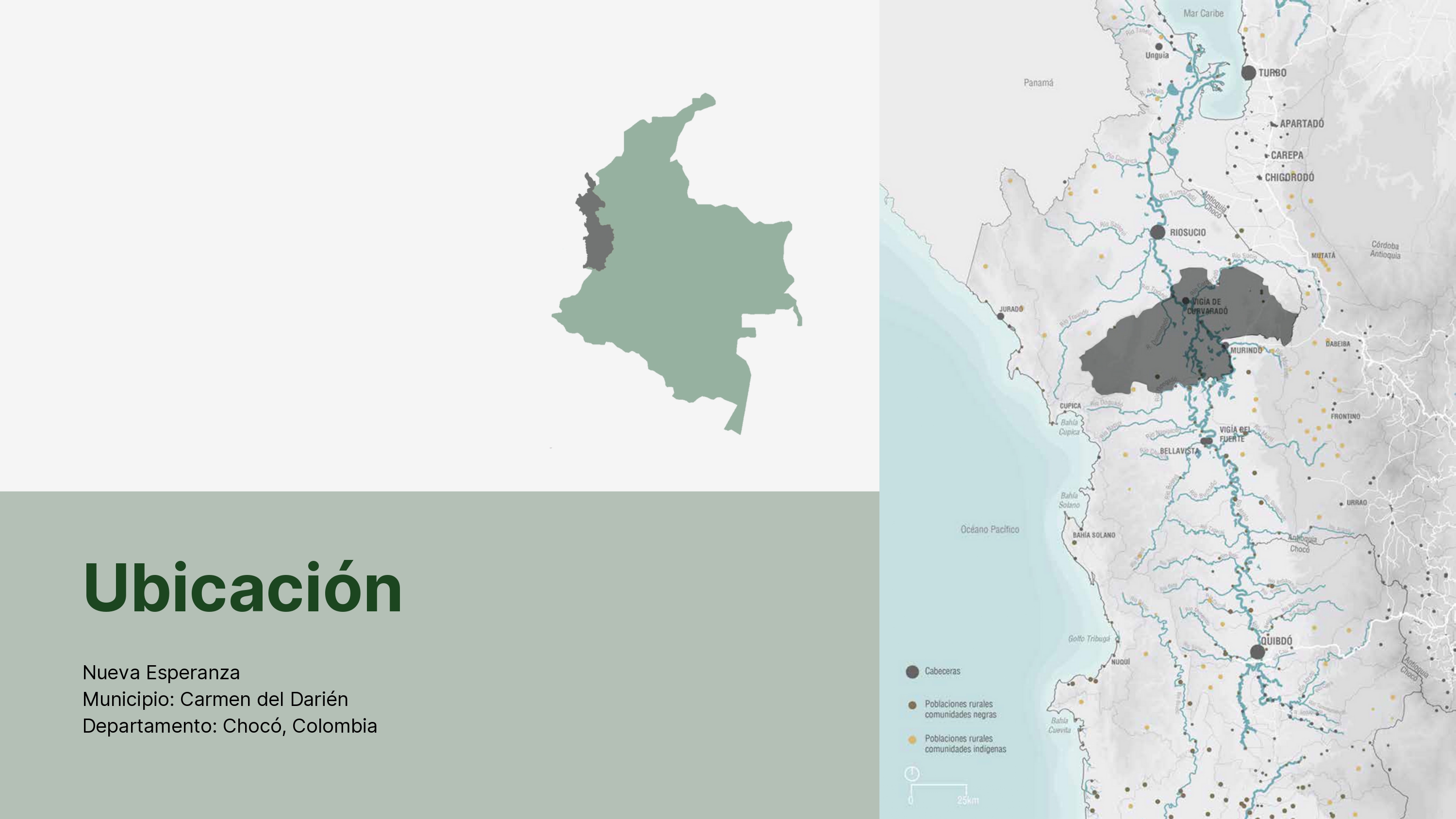 CC·诊所·项目·大学·和平-7