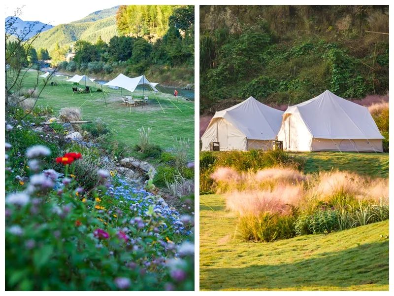 数一轮晨夕 折一朵明媚 | 安吉小杭坑营地-53