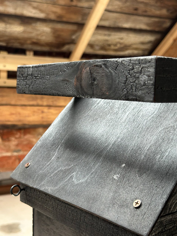 Дом для белок KPLN（KPLN松鼠屋）丨“Крупный план”建筑事务所-6