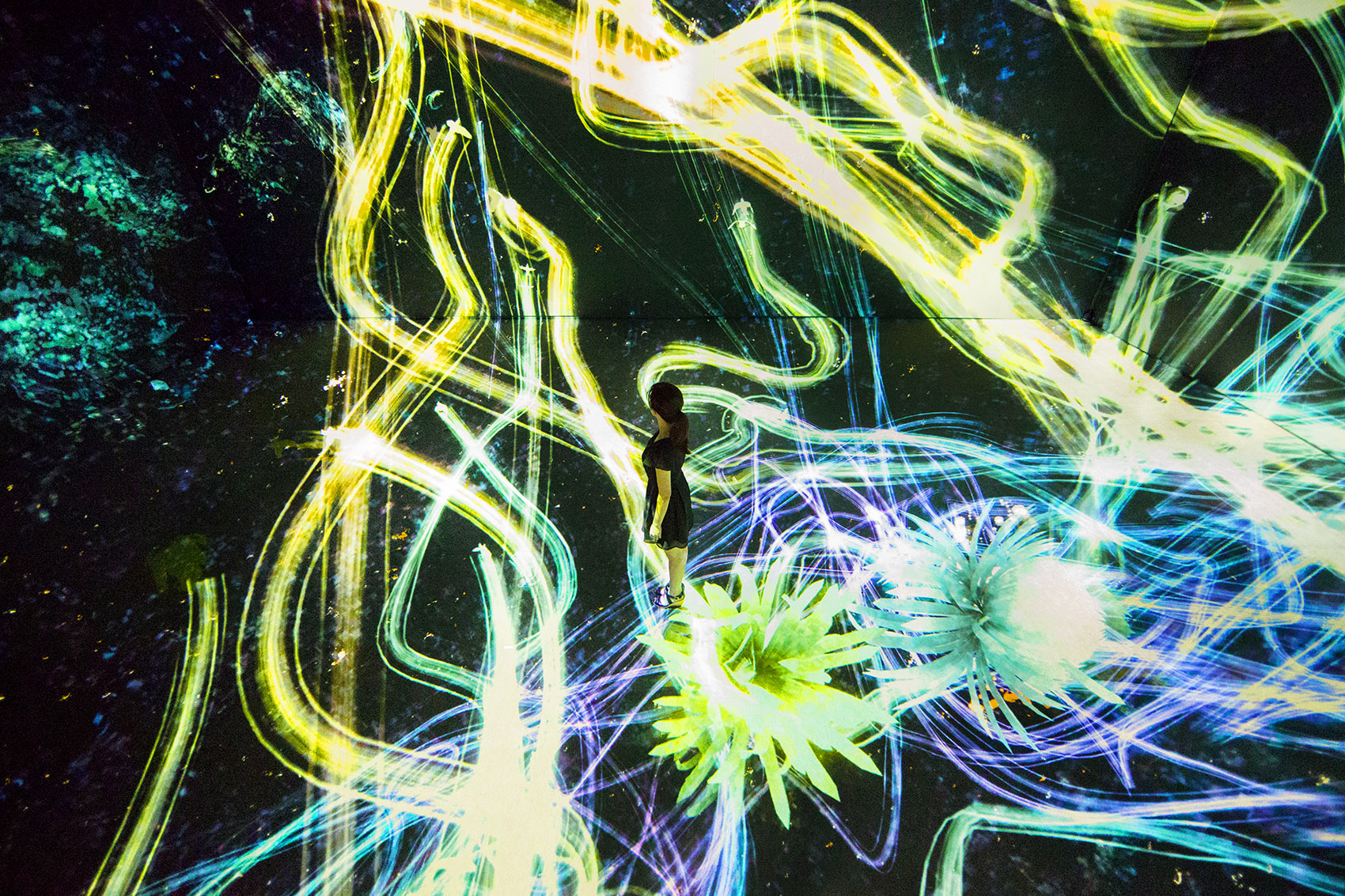 teamLab 2017 深圳北京大展：舞蹈吧，艺术！寓教于乐的未来游乐园！-140