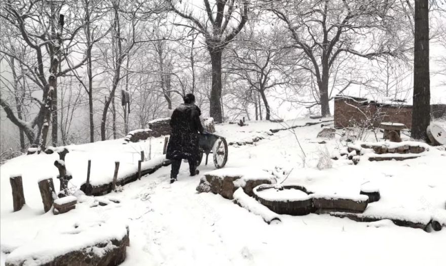 终南山书院 | 回归自然的诗意栖居-130