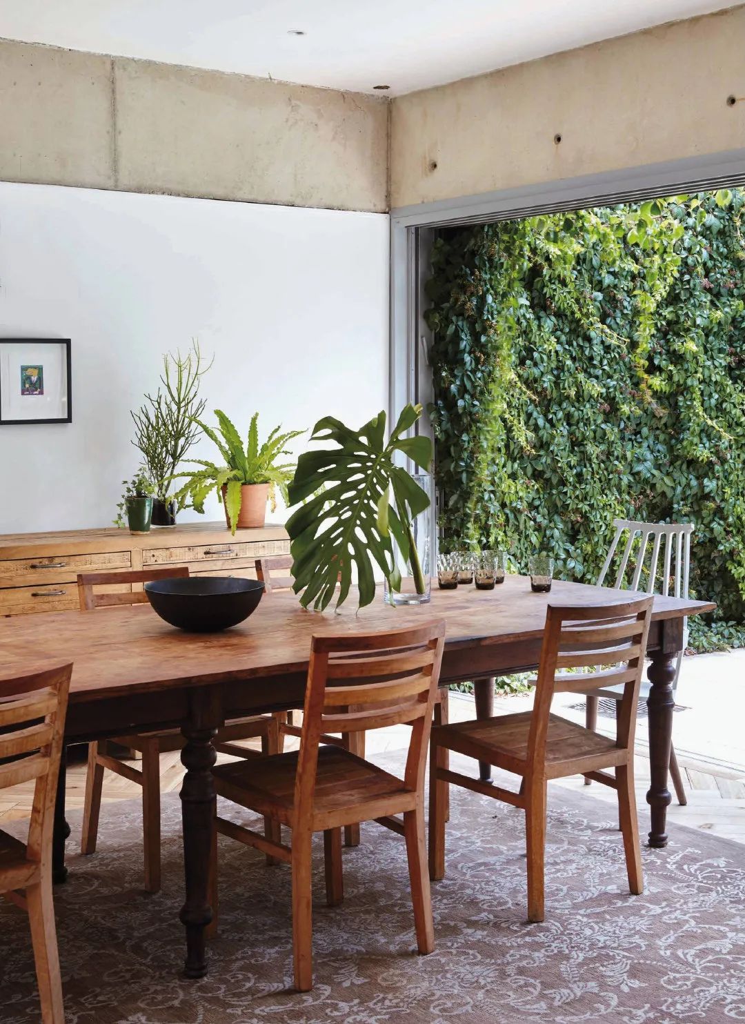 绿植搭配家居,打造夏日清凉空间-23