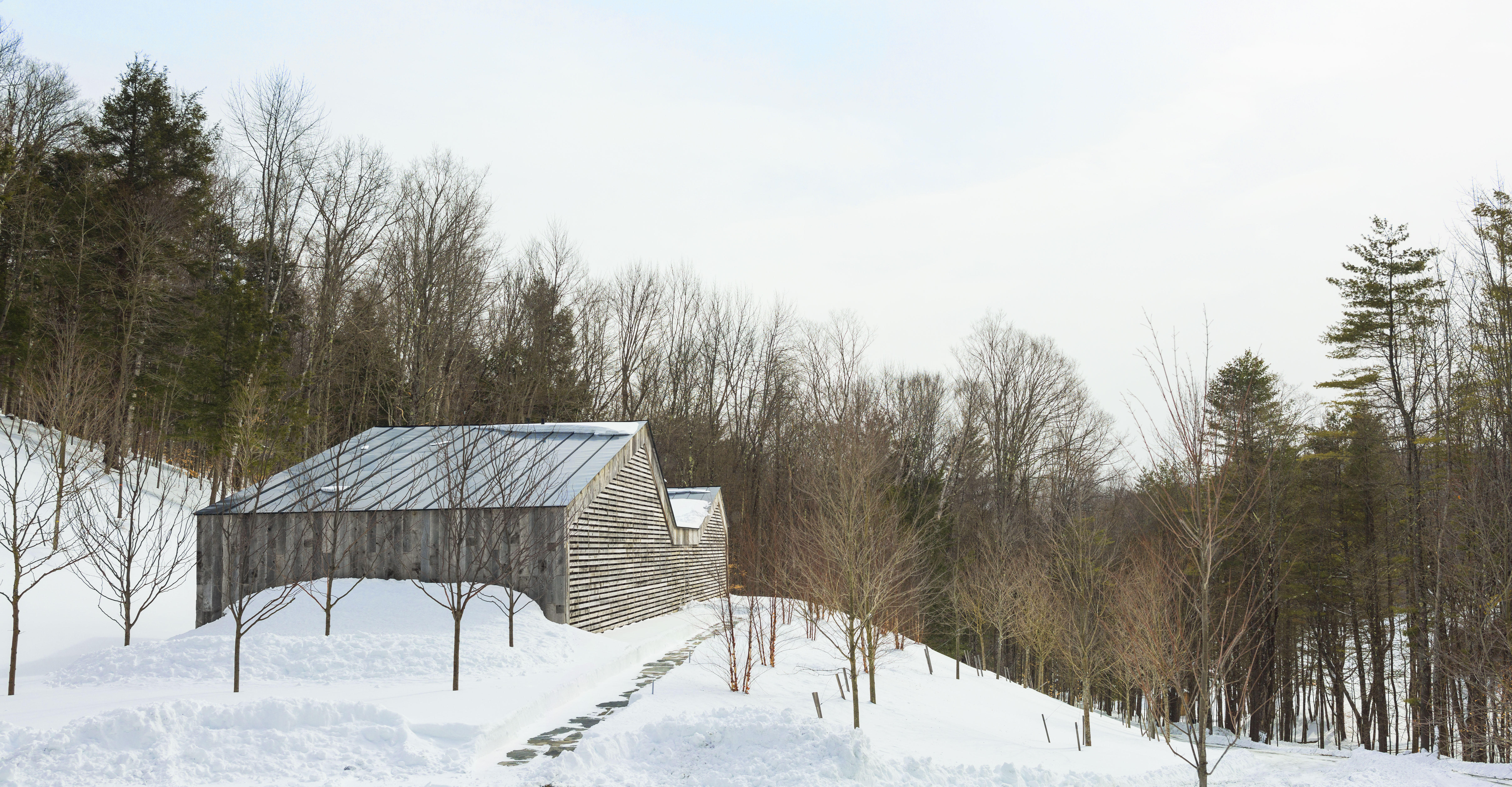 Woodshed | Birdseye-13