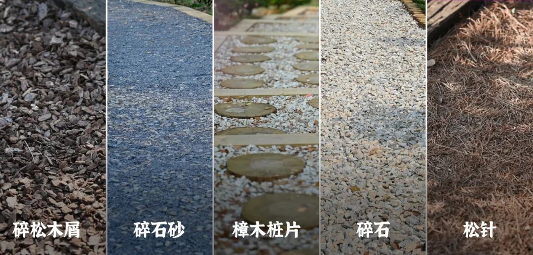 广宁竹海公园|构建绿美竹韵之路-69