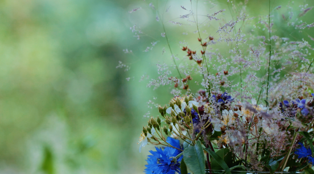 回声花园 · IT 夫妇的乡野生活丨中国黄山丨红子,小可夫妇-75
