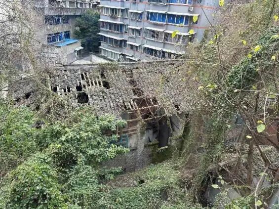 嘉定书馆修缮丨中国乐山丨清华同衡-13