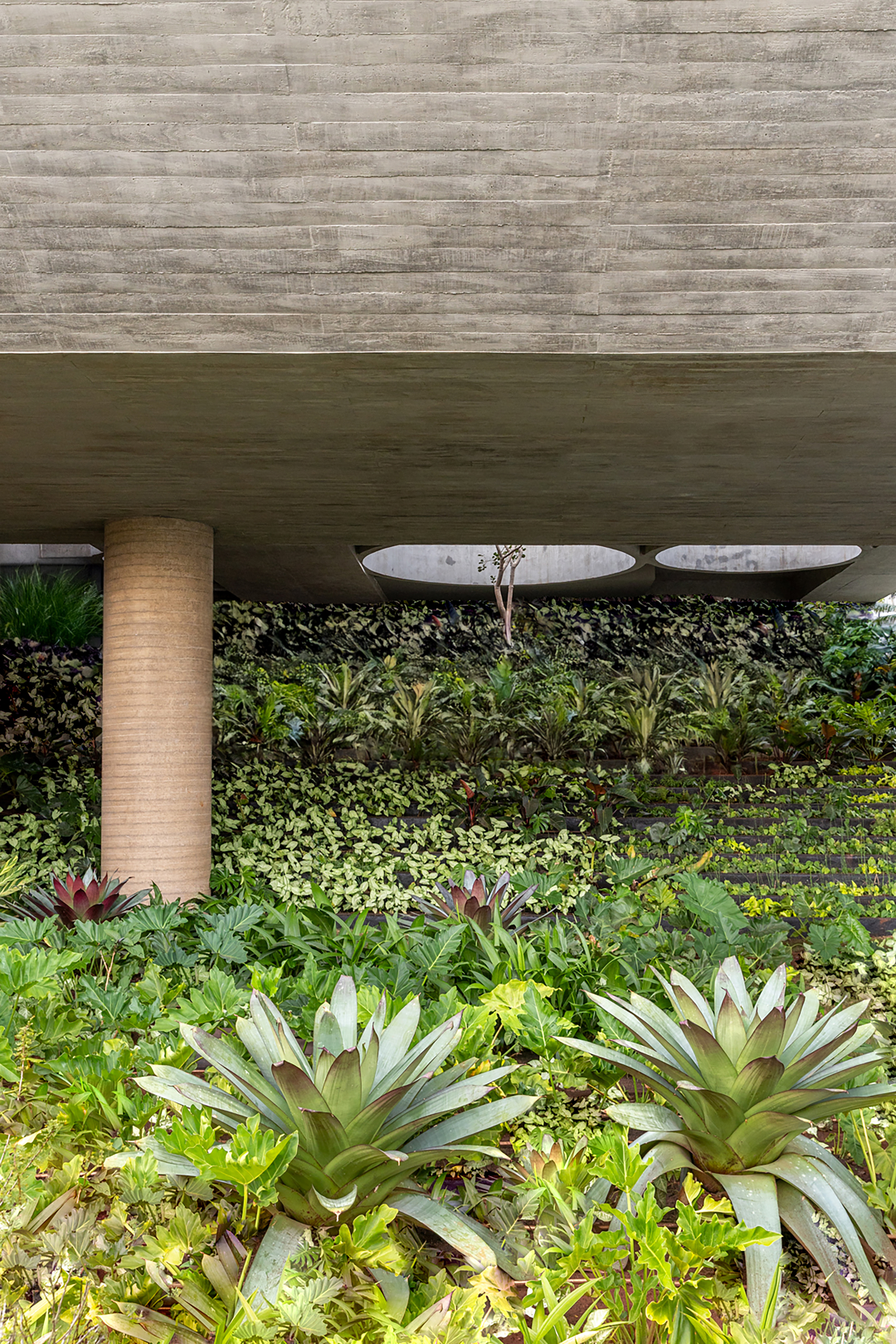 小区景观丨巴西丨Perkins&Will-18