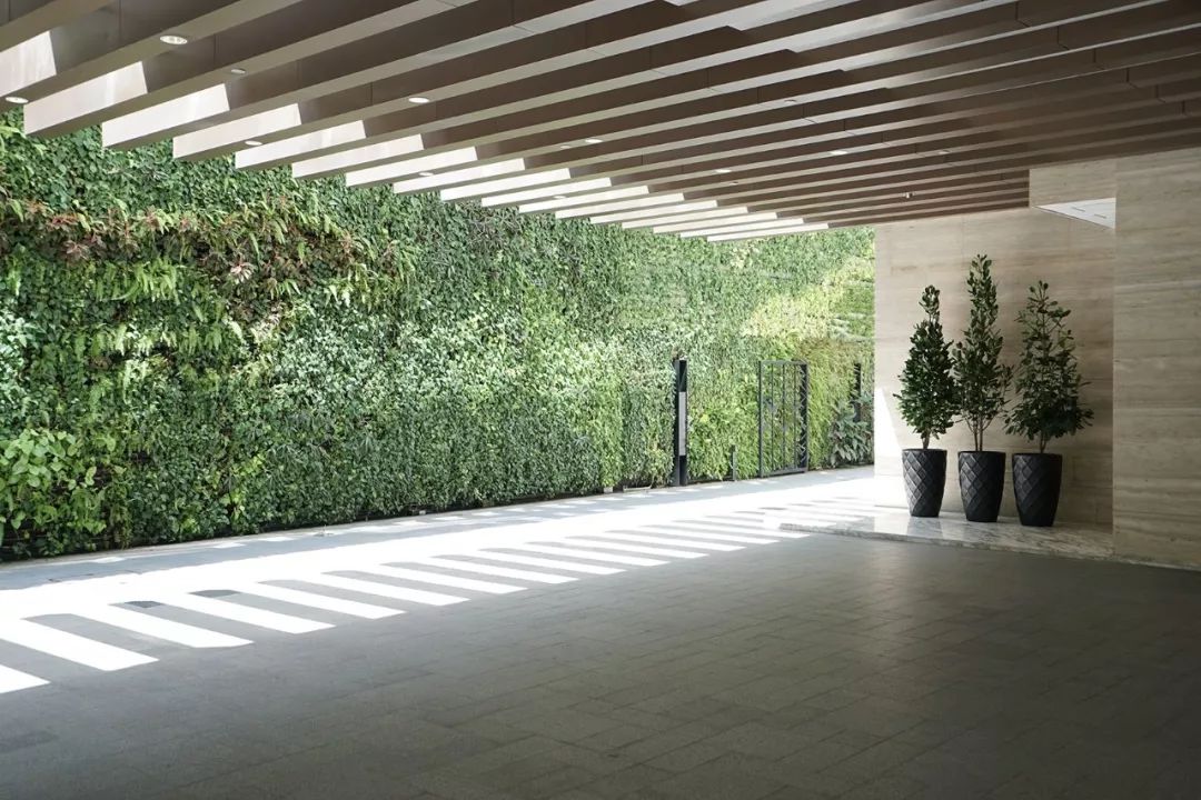 新加坡绿色建筑探索之旅 | 新锐设计师陈卓的视觉盛宴-235