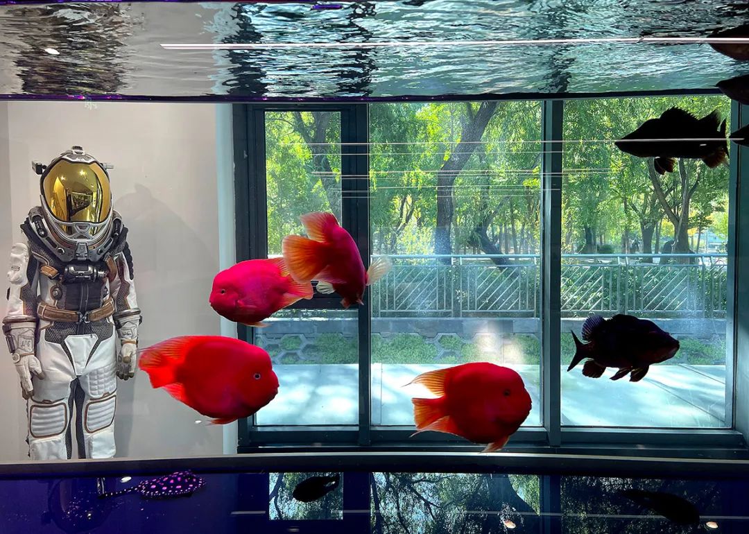 影视公司百纳千成北京办公丨中国北京丨共生和域-27