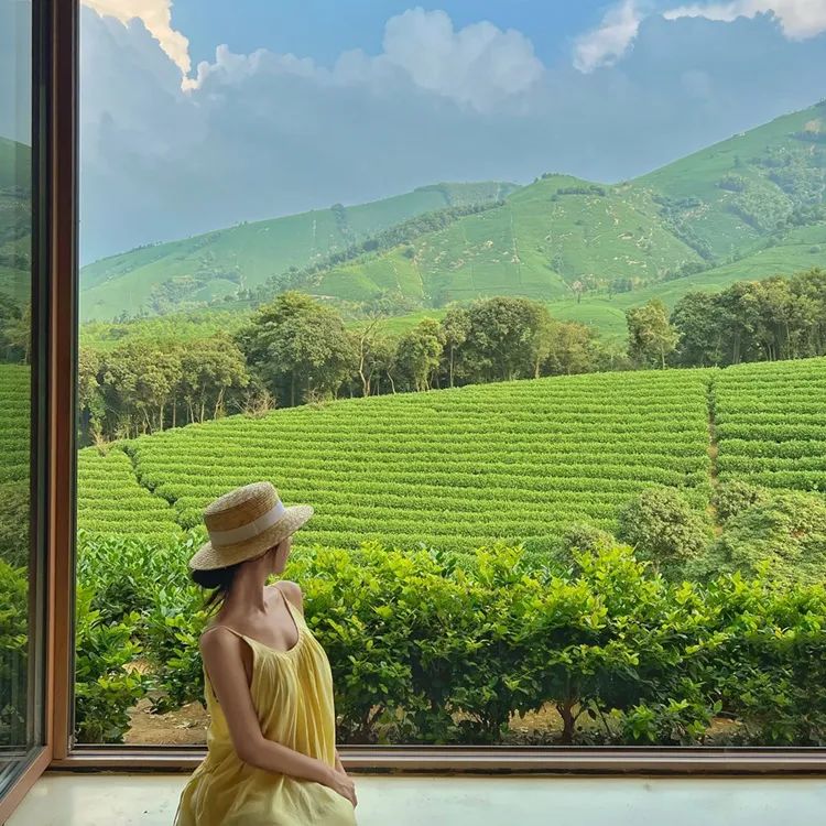 安吉观景平台及茶室丨中国浙江丨HATCH 汉齐建筑-34