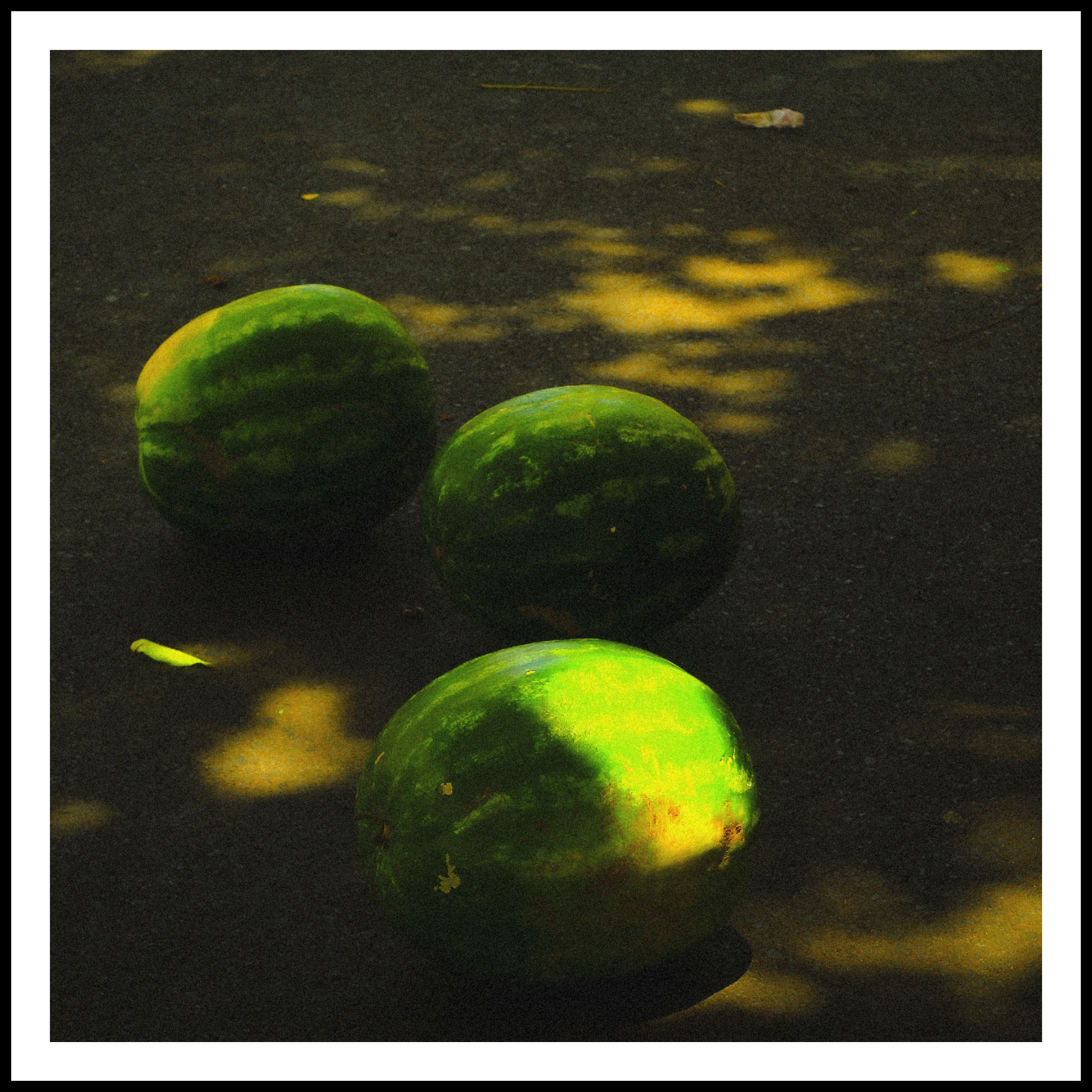 Feira Riberão Preto-6