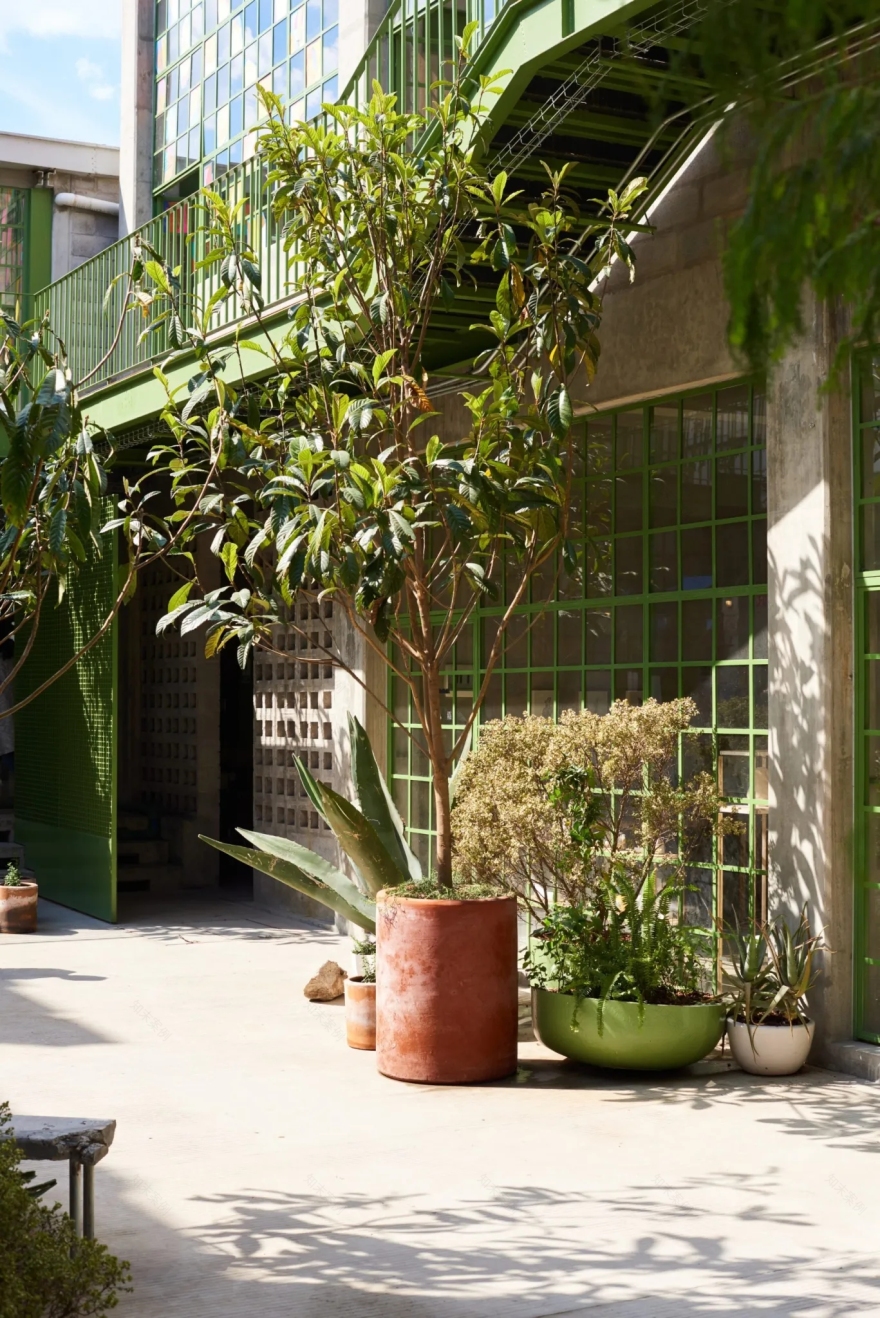 墨西哥城市公共景观-8