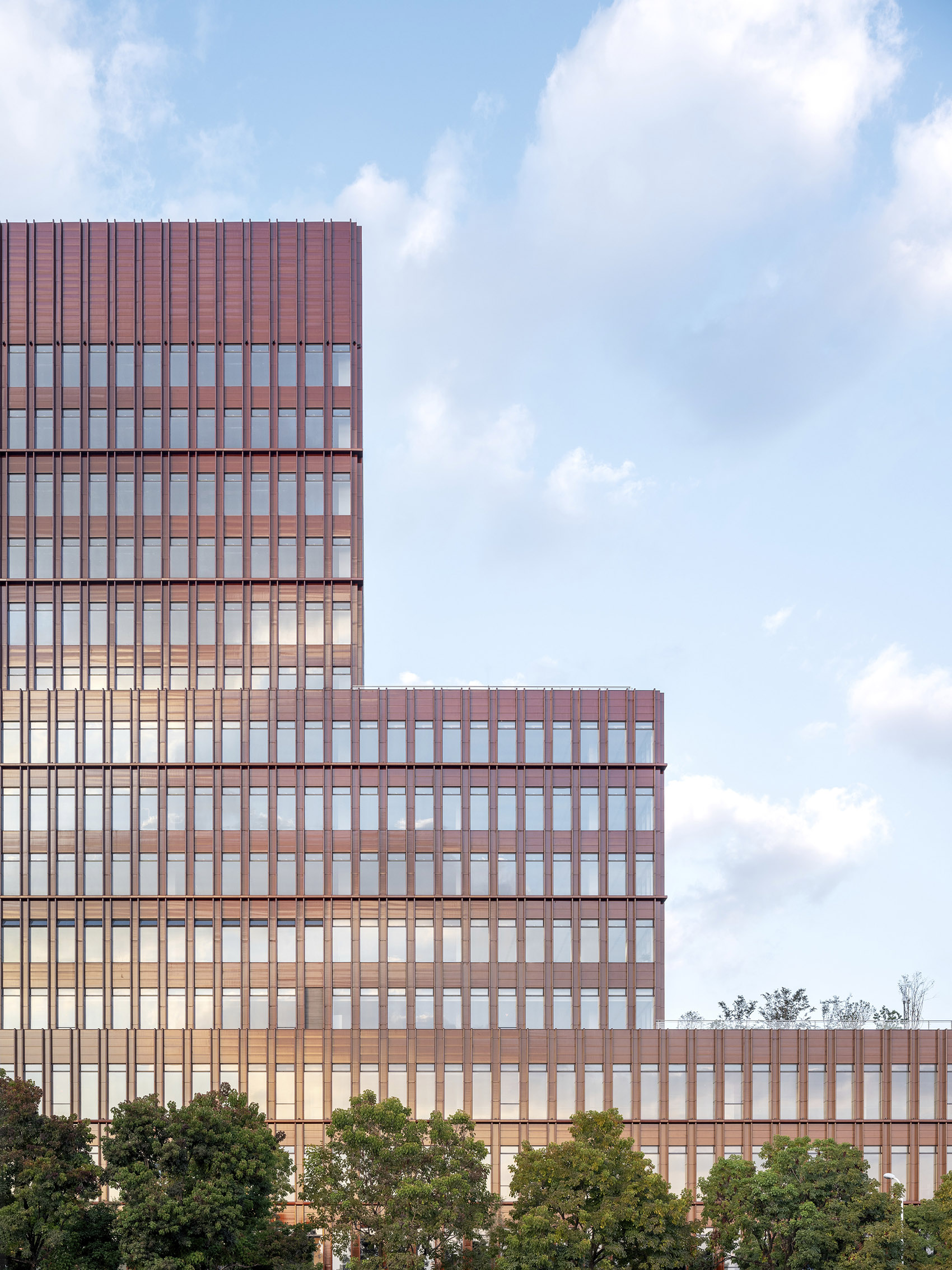 世博滨江·鼎博大厦，上海 / David Chipperfield Architects-24