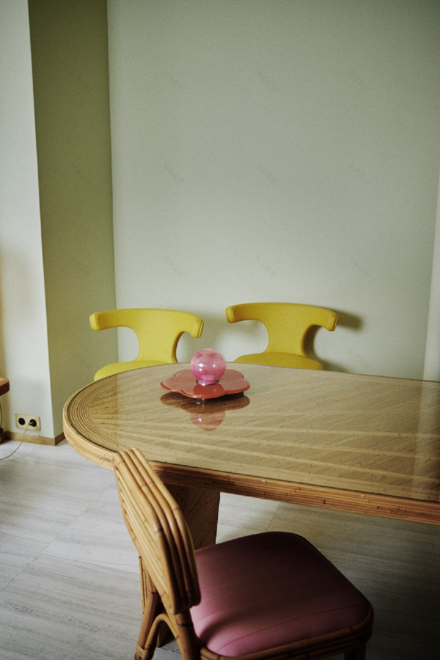 皮埃尔·博纳尔由因迪亚·马赫达维设计-16