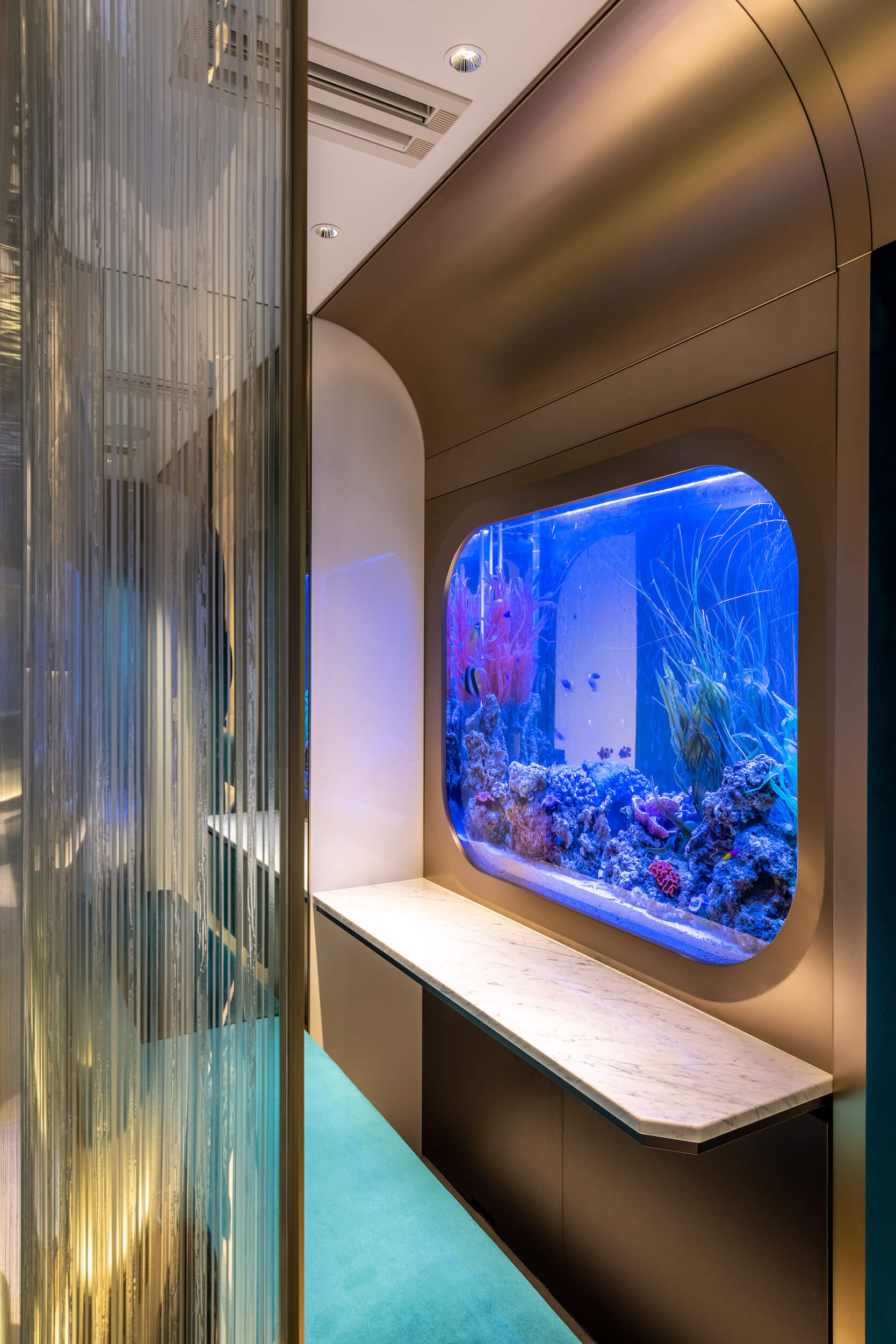 The Grand Blue Express-18