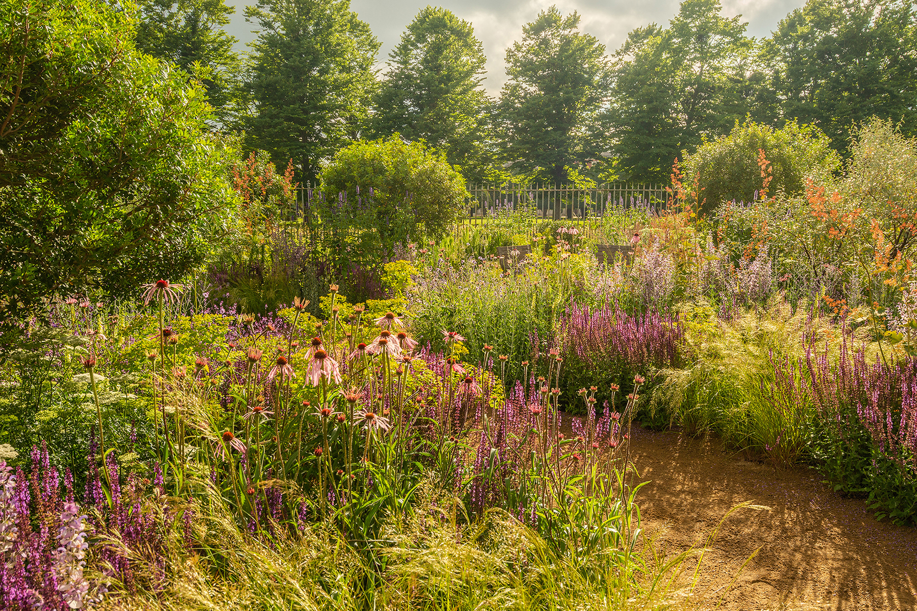 Hampton Court 2021-5