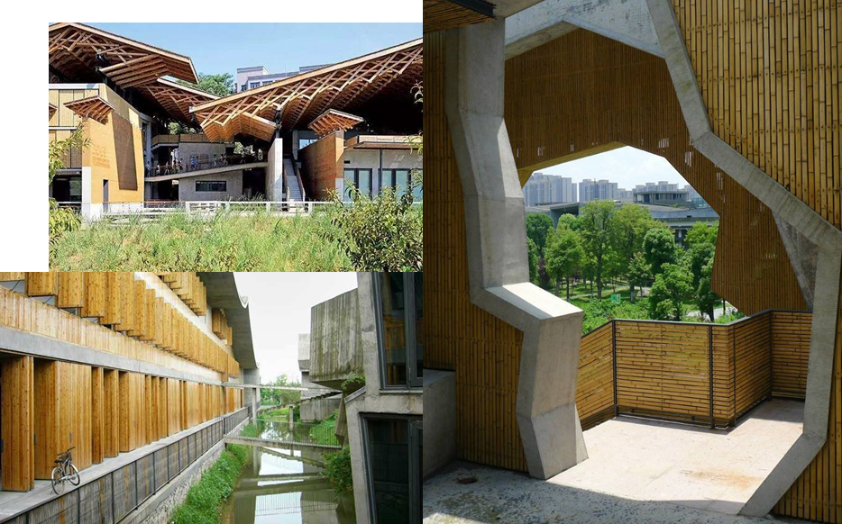 国际大师逻辑解析丨纵横解析大师-86