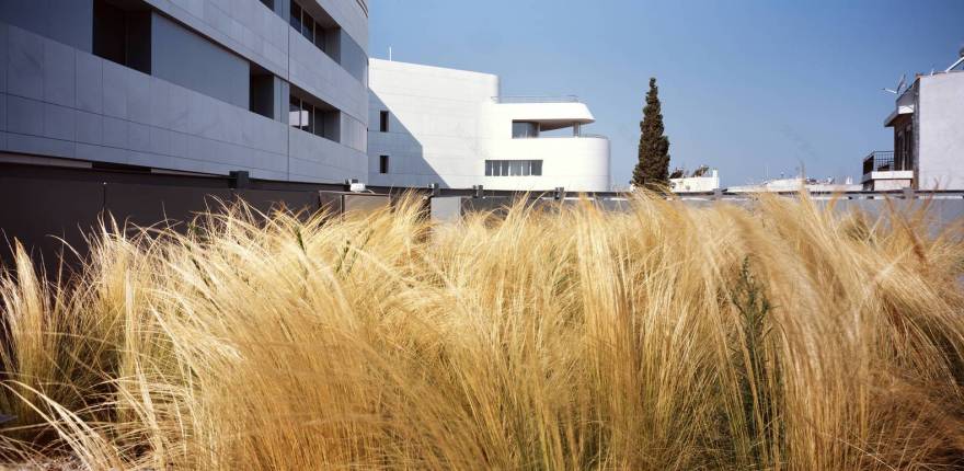 希腊 Agemar Angelicoussis 集团总部丨RS Sparch-8