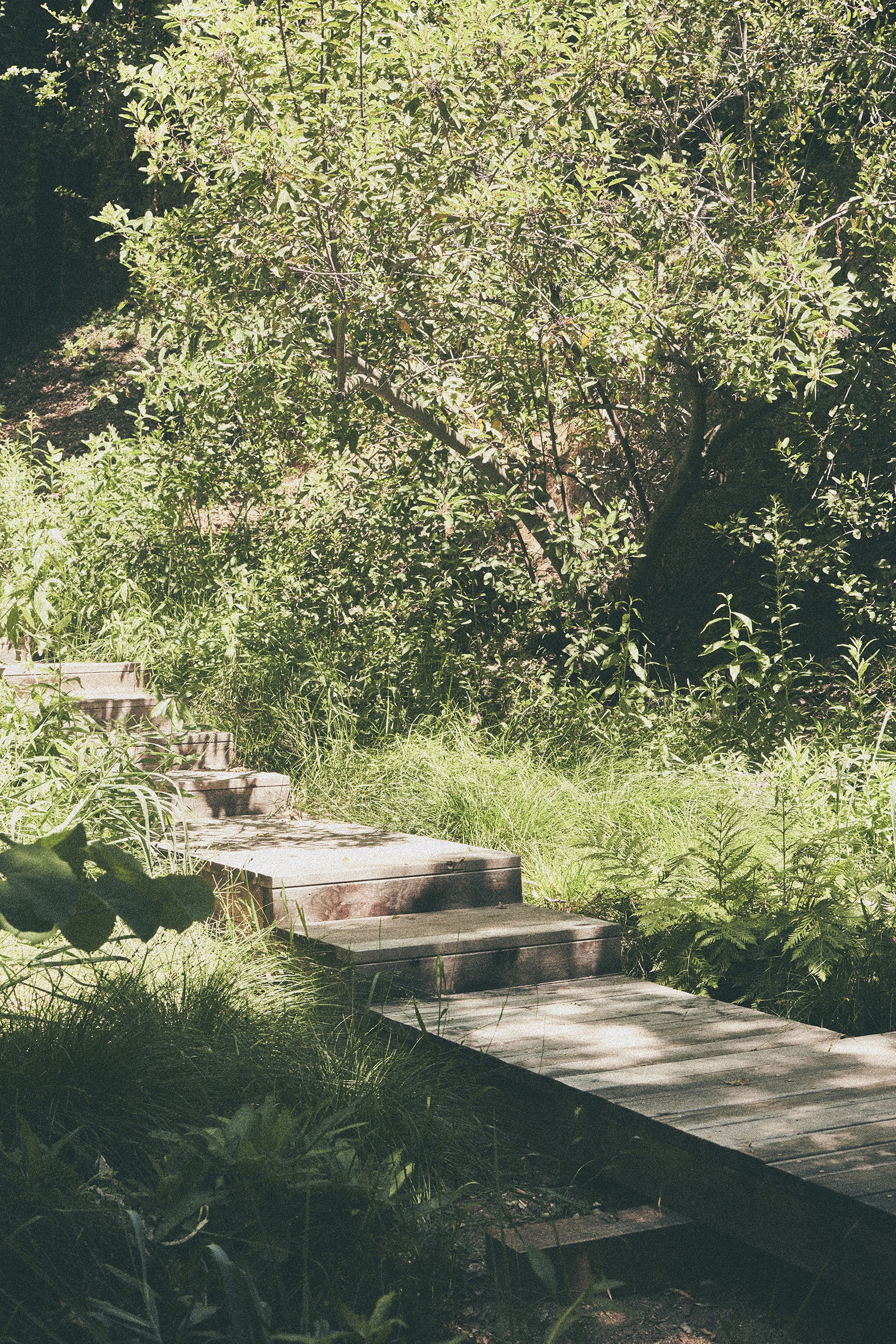 门前野趣丨TERREMOTO-47