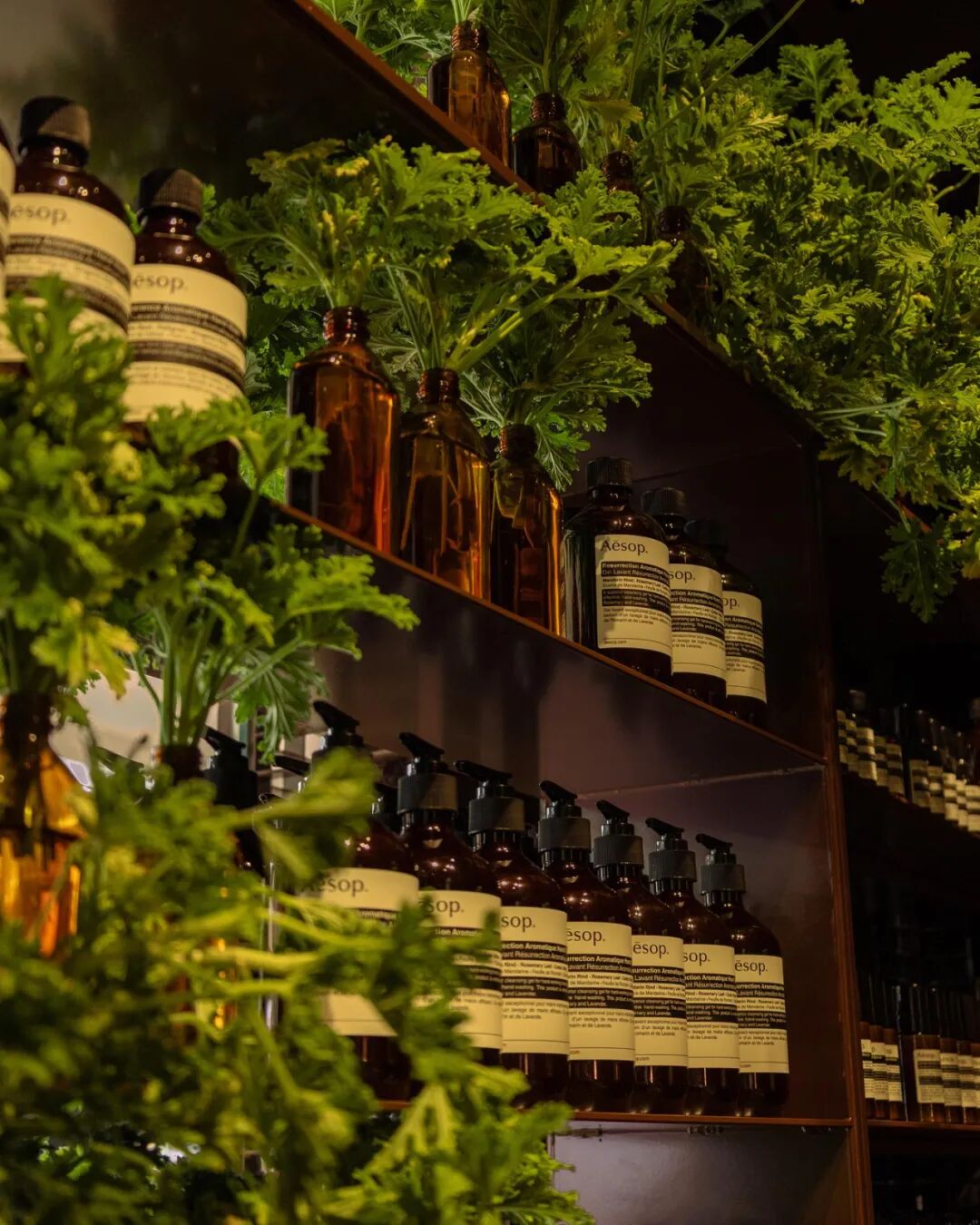 Aesop新加坡高岛屋“石笼”概念店设计-16