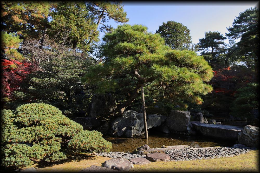 京都御所（京都皇宫）丨日本京都-28