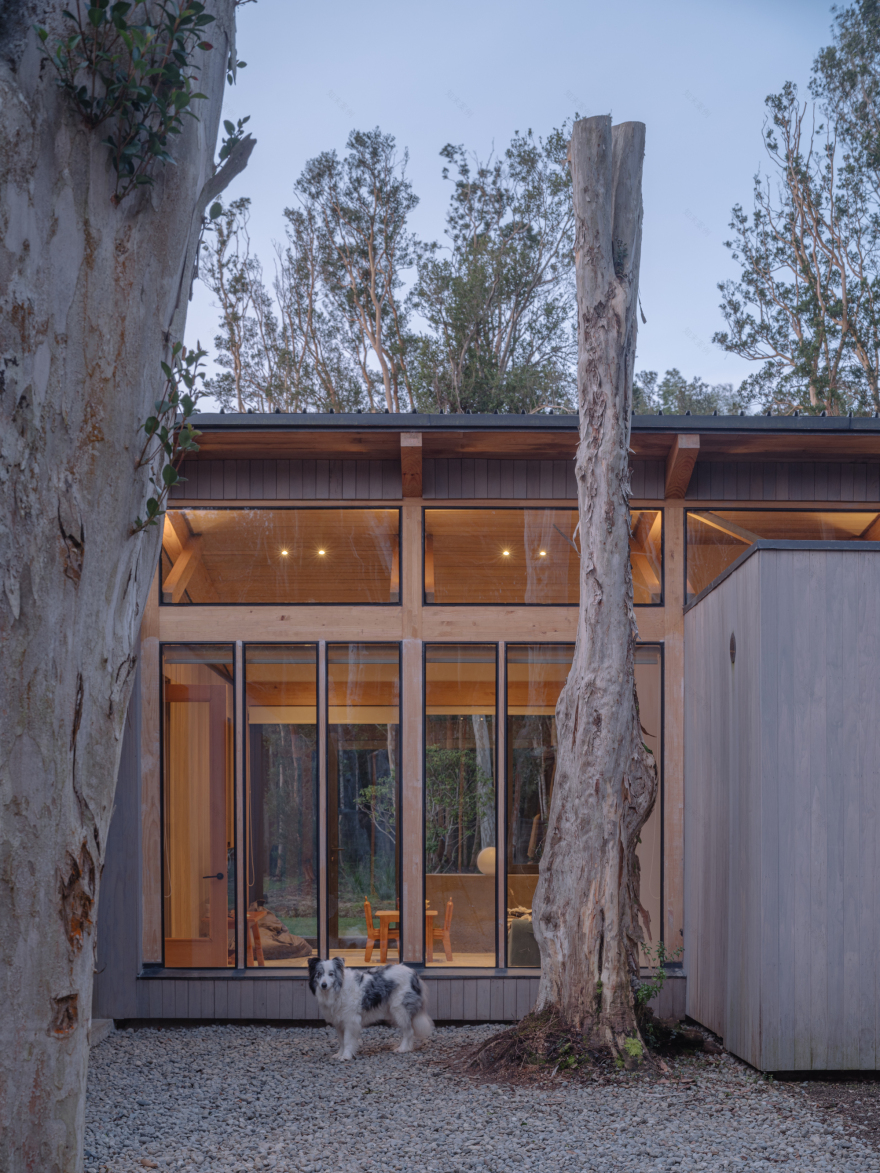 丨智利丨Camila Pineda Arquitectura-33