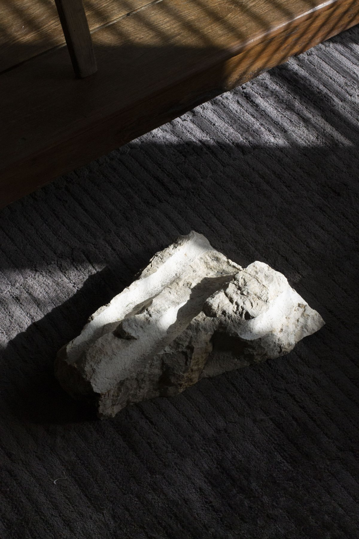 Casa Argentina 2 住宅丨墨西哥丨Aagnes-20