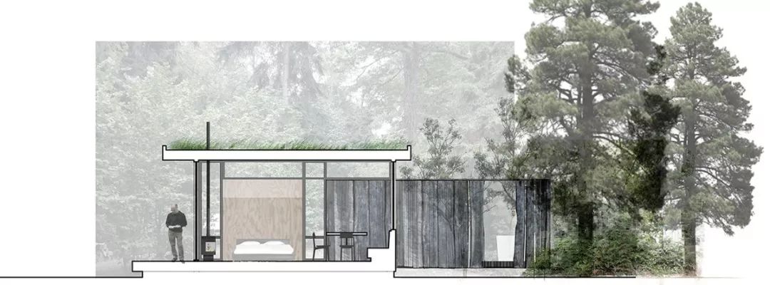 森林中的宁静隐居,对话自然之美-9