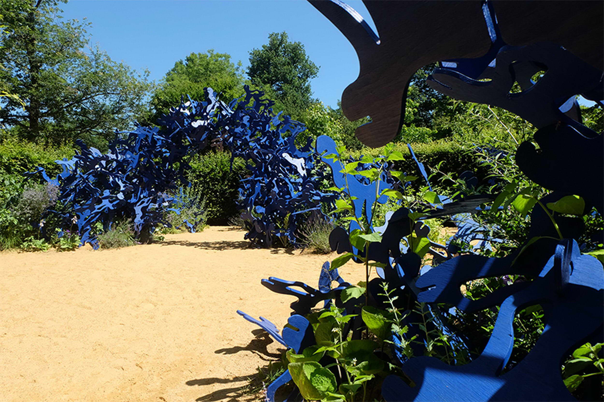 《沙之书》 | 蓝调沙漠，漫步无尽迷宫-6