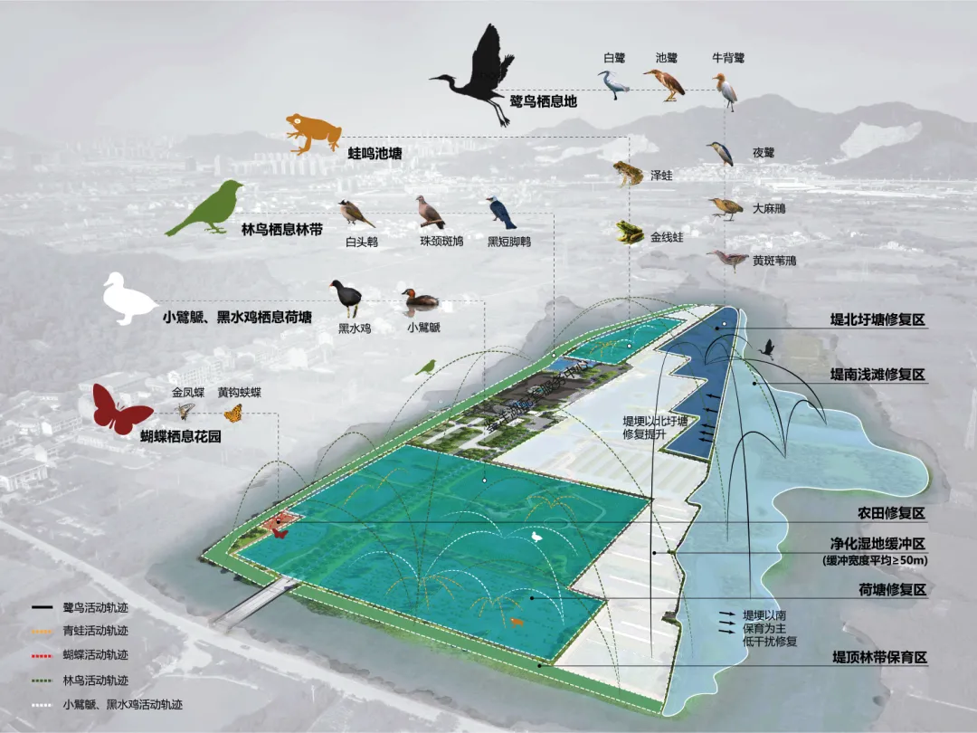 台州鉴洋湖湿地公园首启区景观设计丨中国台州丨AECOM-23