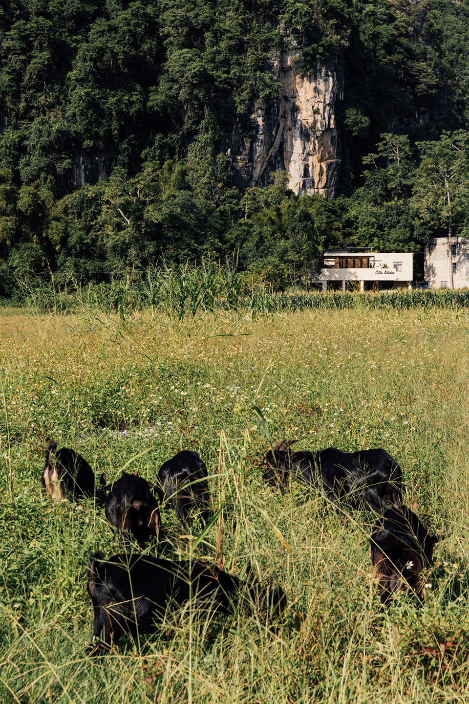山脚下的夕榻餐厅 Citta Kitchen丨中国崇左丨夕榻建筑设计 Citta Architecture-9