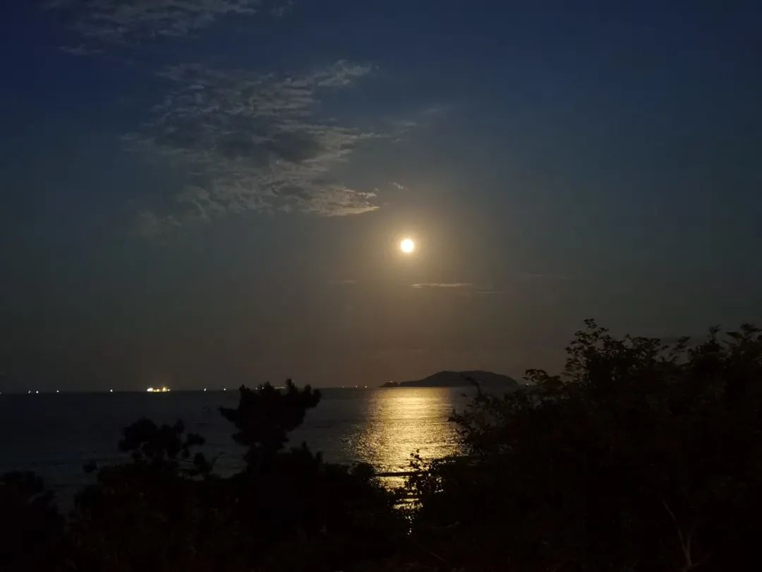 普陀山禅意之旅丨中国普陀丨KLID达观-110