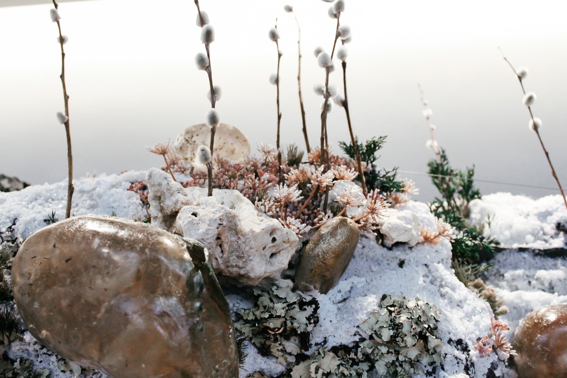 質物霽畫|Bonsai奇岩丨日本东京-7