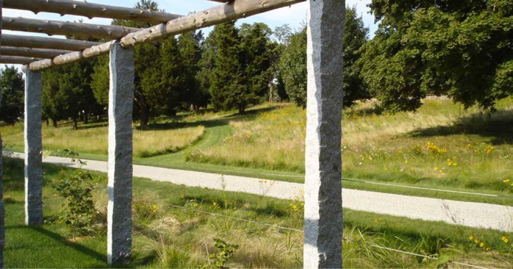 长草地住宅设计-6