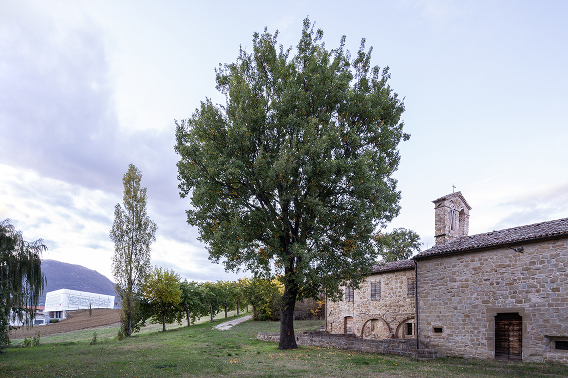 弗朗哥·科雷利音乐学院-44