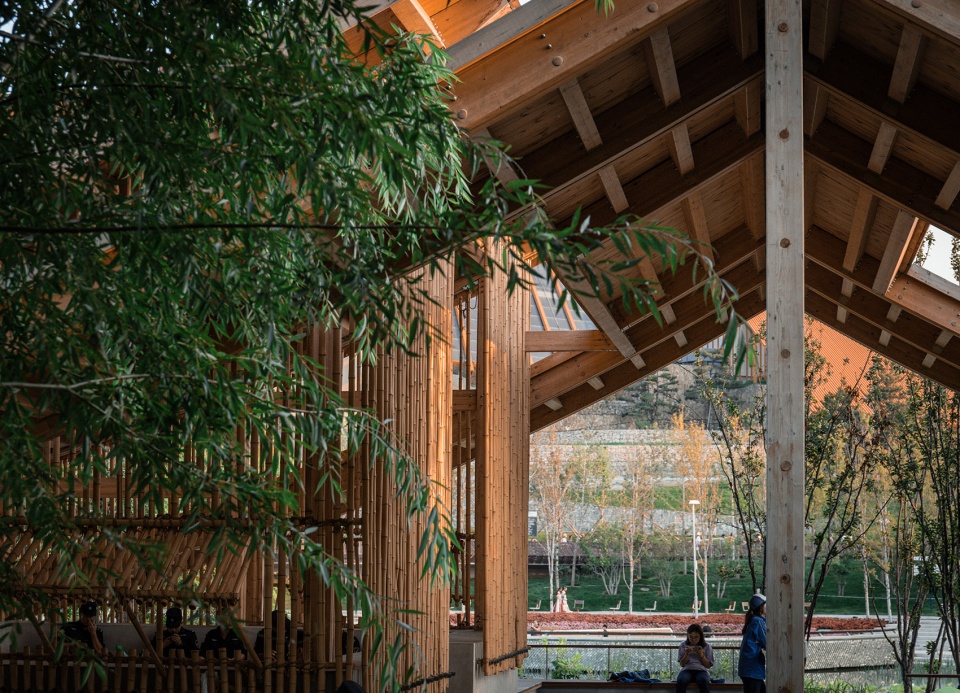 2019年北京世界园艺博览会园区公共绿化景观(日新苑)-26