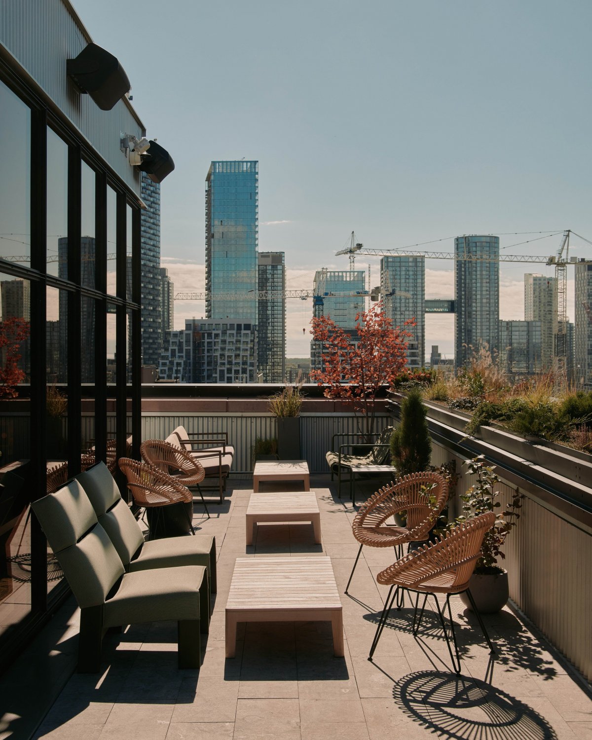 Evangeline 酒吧和休息室丨加拿大多伦多丨ShimSutcliffe Architects-12