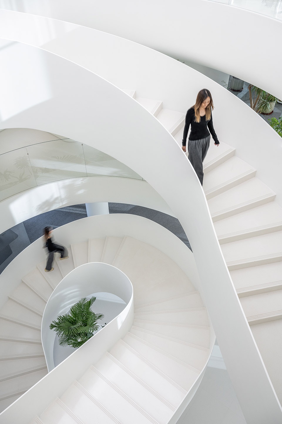 吴太医药集团办公总部丨中国长春丨Ippolito Fleitz Group-20