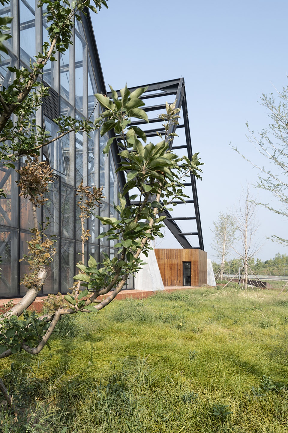 衡水植物园温室展览馆丨中国河北丨空格建筑-31